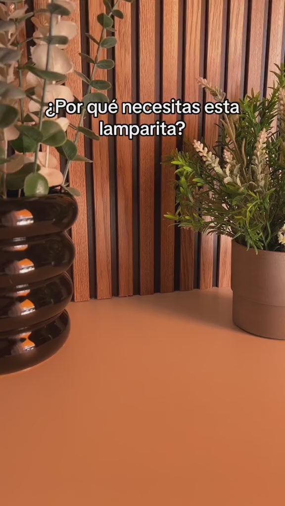 LÁMPARA CAPIBARA LED DE SILICONA